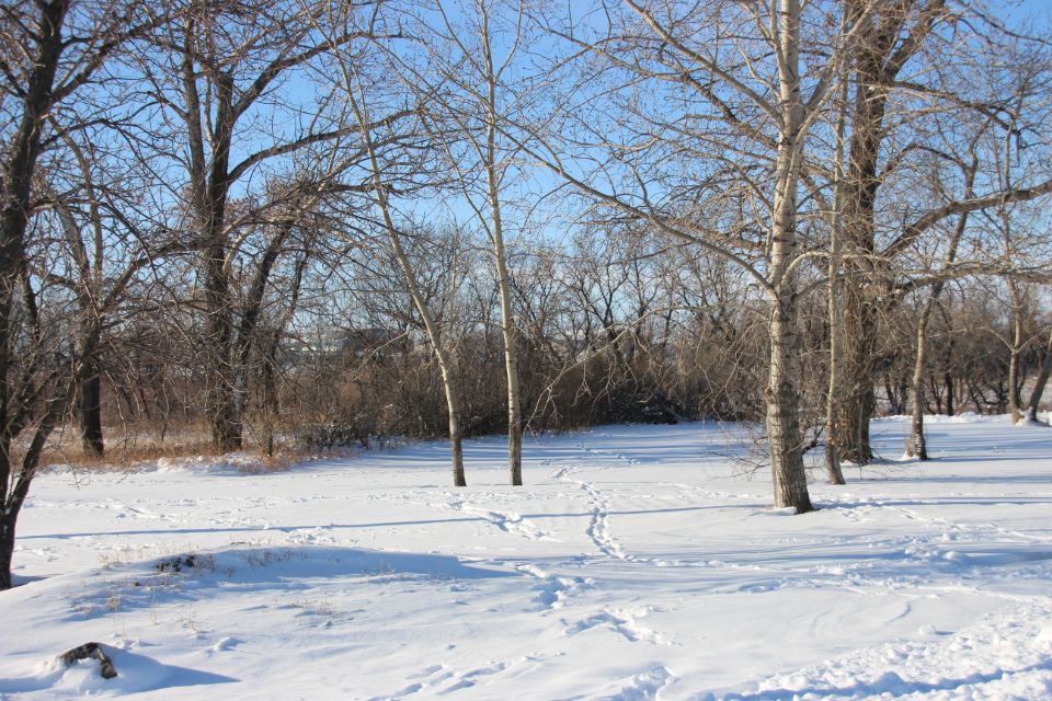 Residents encouraged to break their own trails